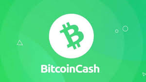 بیت کوین کش