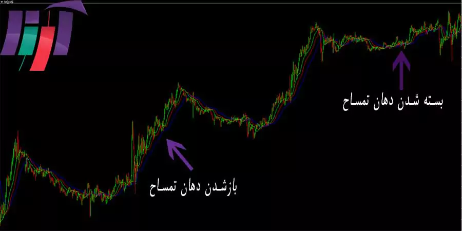اندیکاتور-تمساح